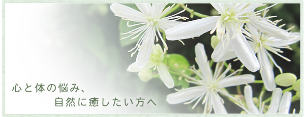 HOME �z���I�p�V�[ �׋��� �O���s �����f�B �ʔ�